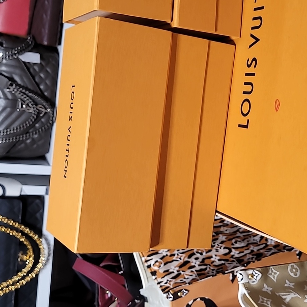 Louis Vuitton Earphones  Monogram Horizon Wireless Bluetooth With Case - Picture 11 of 13